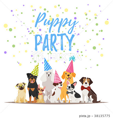 わんこ 犬 バースデー 誕生日のイラスト素材