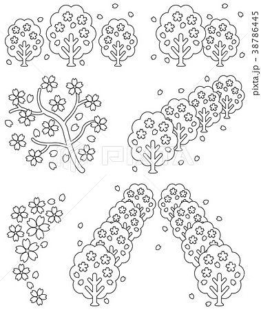 桜一色 花の写真素材 Pixta
