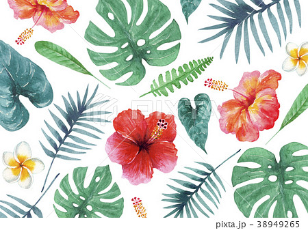 熱帶植物背景紡織品水彩例證 插圖素材 圖庫