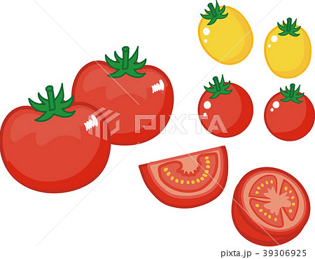 トマト 野菜 輪切り 断面のイラスト素材