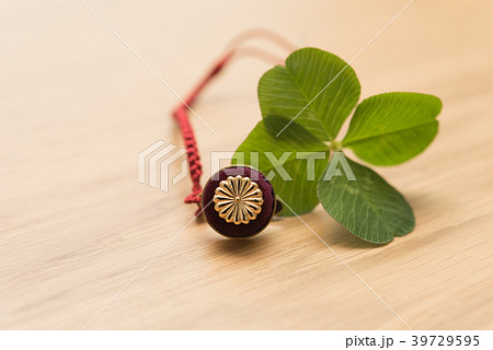 議員バッチの写真素材