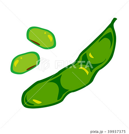 枝豆 かわいい ベクター えだまめのイラスト素材