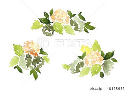 花柄 葉 水彩画 ダリアのイラスト素材
