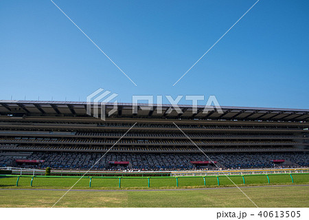 東京競馬場の写真素材 - PIXTA