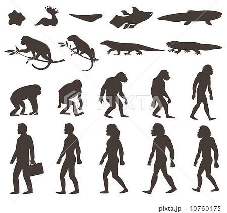 ダーウィン 進化 組み合わせ イラストのイラスト素材