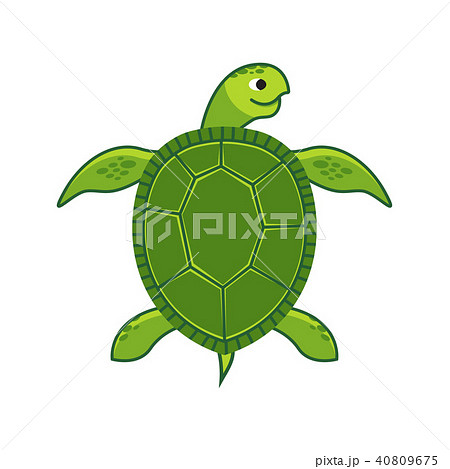 緑 かめ カメ 亀のイラスト素材