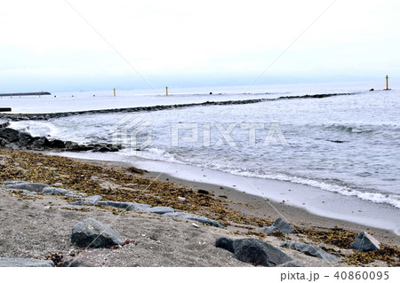 海の藻屑の写真素材