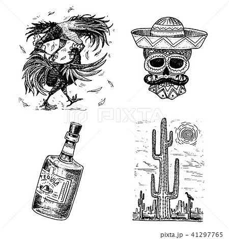 骸骨 ドクロ メキシコのイラスト素材