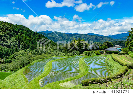 荒原の棚田の写真素材