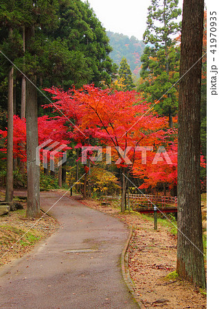 寂地峡五竜の滝の写真素材