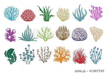 海草 海 海藻のイラスト素材 Pixta