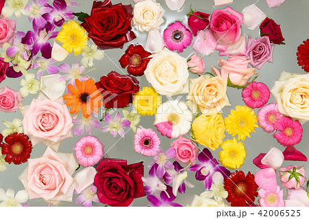 薔薇風呂の写真素材 薔薇風呂の写真素材