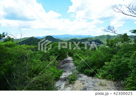 馬の背 西谷の森 宝塚 関西の写真素材