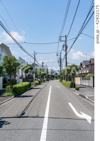 住宅街 道路 夏 住宅地の写真素材