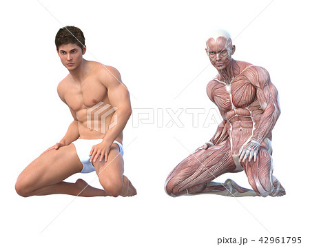 筋肉 男性 ポーズ 比較のイラスト素材