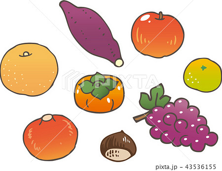 Noranchi S No Illustrations