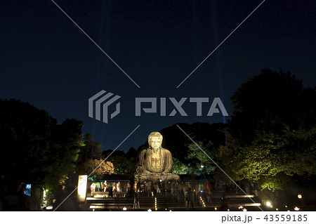 大仏 ライトアップ 鎌倉の写真素材
