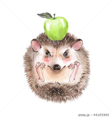 動物 ハリネズミ 水彩画 りんごのイラスト素材