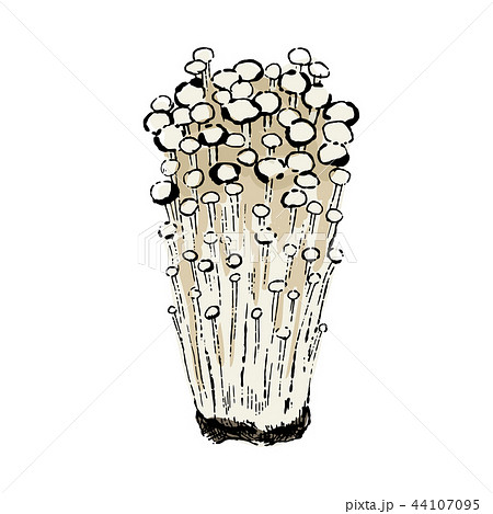 えのきのイラスト素材集 ピクスタ