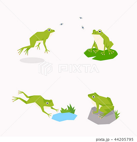 かえる カエル 蛙 池のイラスト素材