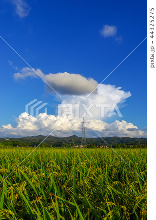 田舎 入道雲 島根の写真素材