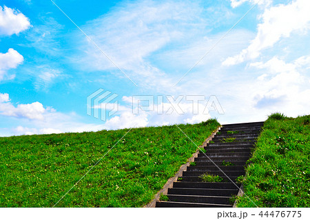 堤防 草 階段 斜面の写真素材