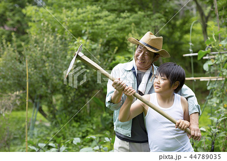 男の子 畑 農作業 おじいちゃんの写真素材