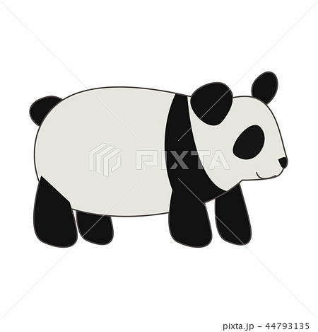 パンダ イラスト 横向き ジャイアントパンダの写真素材