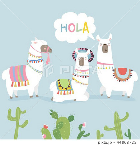リャマ アルパカのイラスト素材