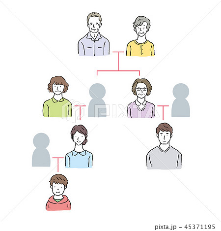 家系図のイラスト素材