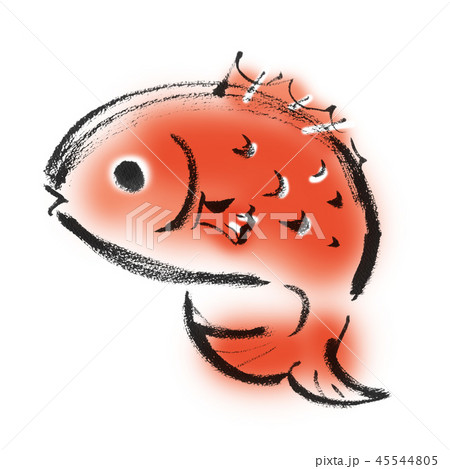 鯛 タイ たい 筆のイラスト素材