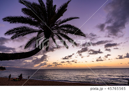 美品！夕焼けの海とヤシの木カップル シルエットフレーム⭐︎迫力の