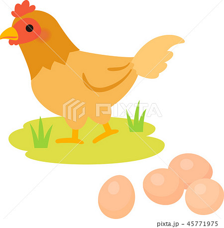 鶏卵のイラスト素材