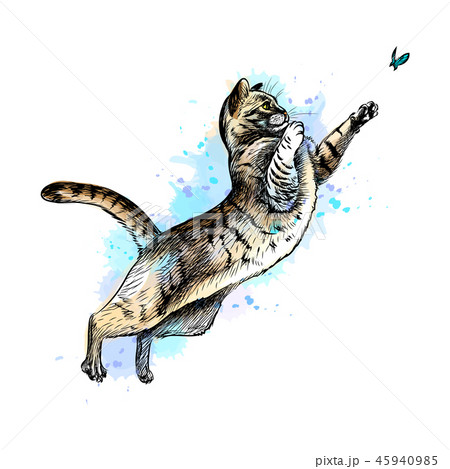 即出荷 宇宙ねこ 絵画 イラスト ドローイング 絵画 タペストリ Luhacovice Cz