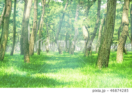 舞子公園のイラスト素材 - PIXTA