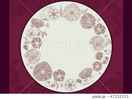 ラナンキュラスのイラスト素材