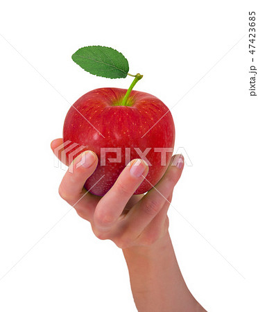 持つ リンゴ 手の写真素材