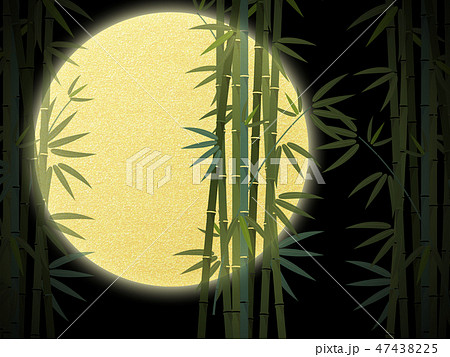 竹藪のイラスト素材