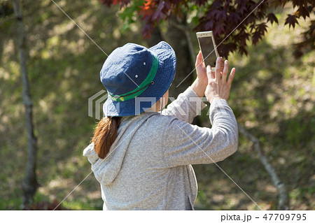 人物 女性 カメラマン 後姿 女の人 背中の写真素材