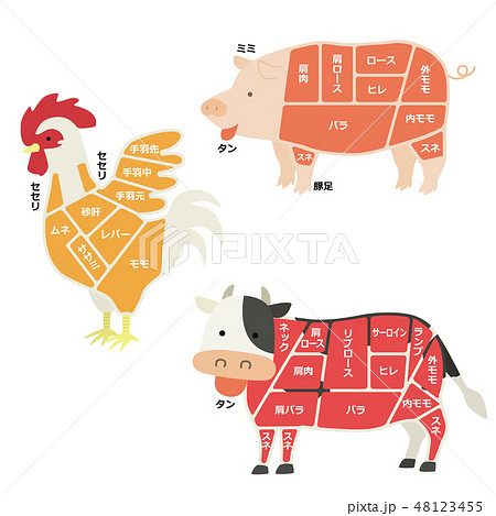 動物 牛 豚 鶏のイラスト素材