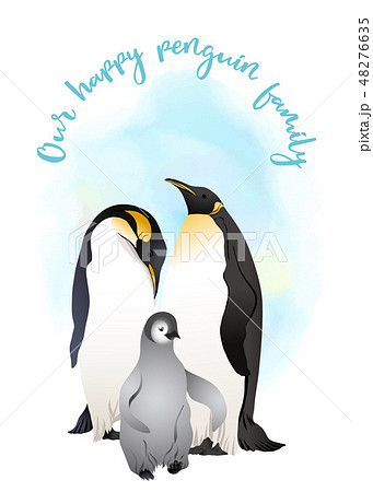鳥 親子ペンギン イラスト 動物のイラスト素材