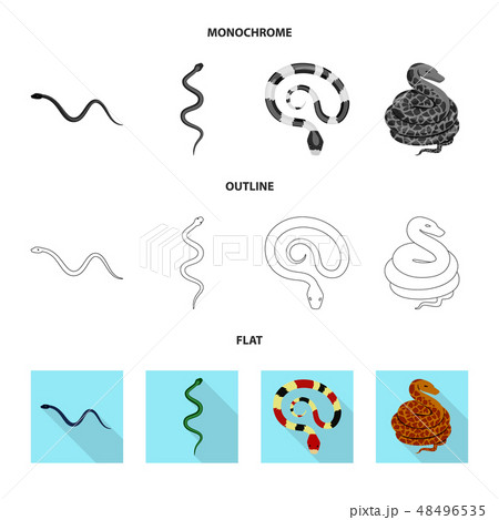 蛇的向量圖素材集