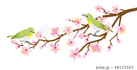 二羽の鳥の写真素材 - PIXTA