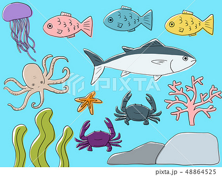 かわいい 魚 サンゴ 海藻のイラスト素材