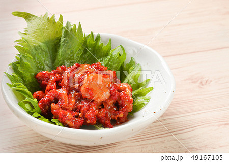 チャンジャーの写真素材