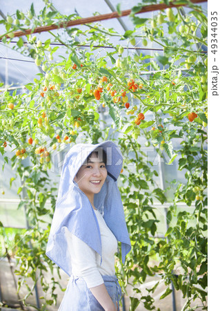 プチトマト ヌード　女子小学生　いやらしい写真 