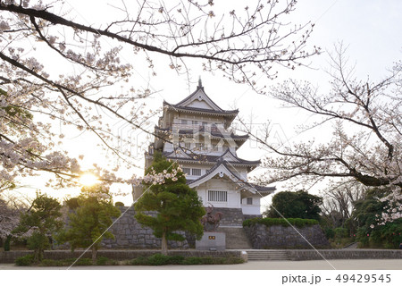 千葉城桜まつりの写真素材