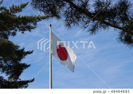 日の丸 出雲大社 国旗 松の写真素材