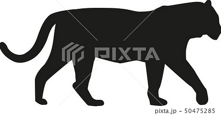 動物 シルエット トラ 虎のイラスト素材