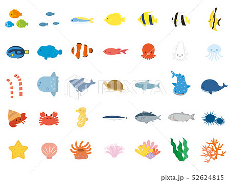 海の生き物のイラスト素材